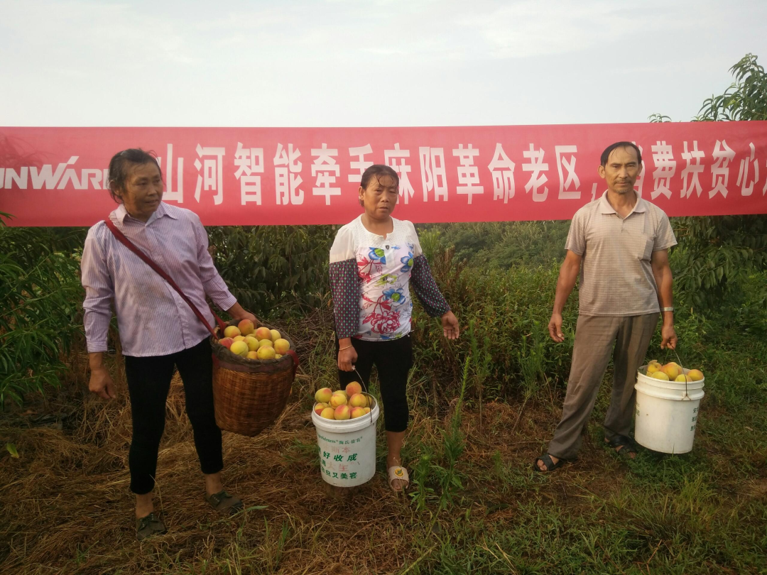 点赞！9888拉斯维加斯官网智能成功入选“上市公司乡村振兴优秀实践案例”
